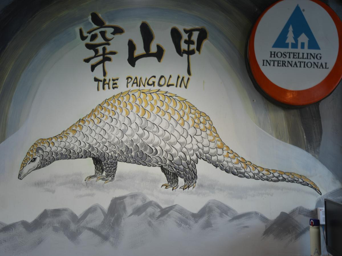 五常 雪谷穿山甲国际青年旅舍旅舍 外观 照片